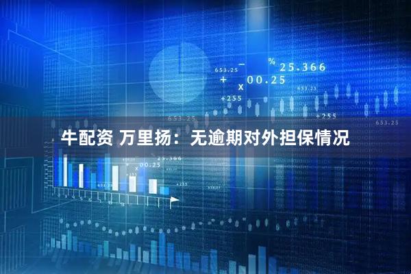 牛配资 万里扬：无逾期对外担保情况